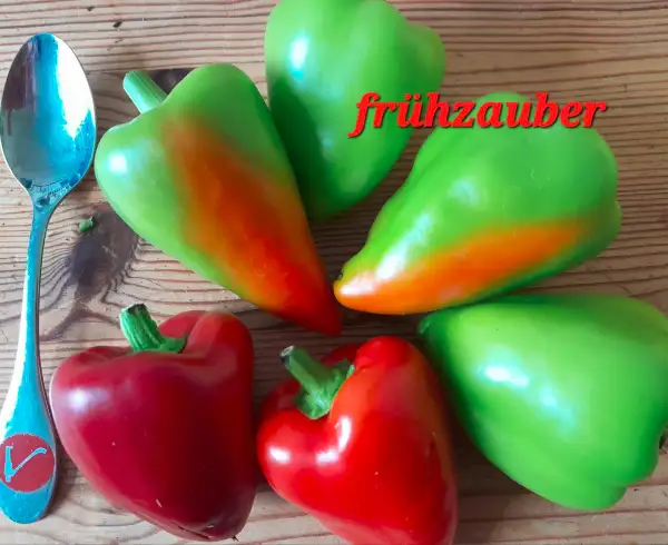 Chili / Paprika: Frühzauber, Paprika