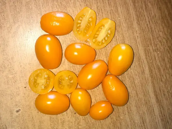 Tomaten: Fran Metzger