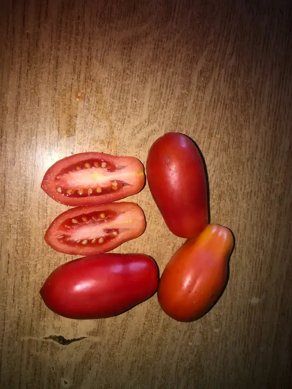 Tomaten: Francuzskiy Grozdevoy