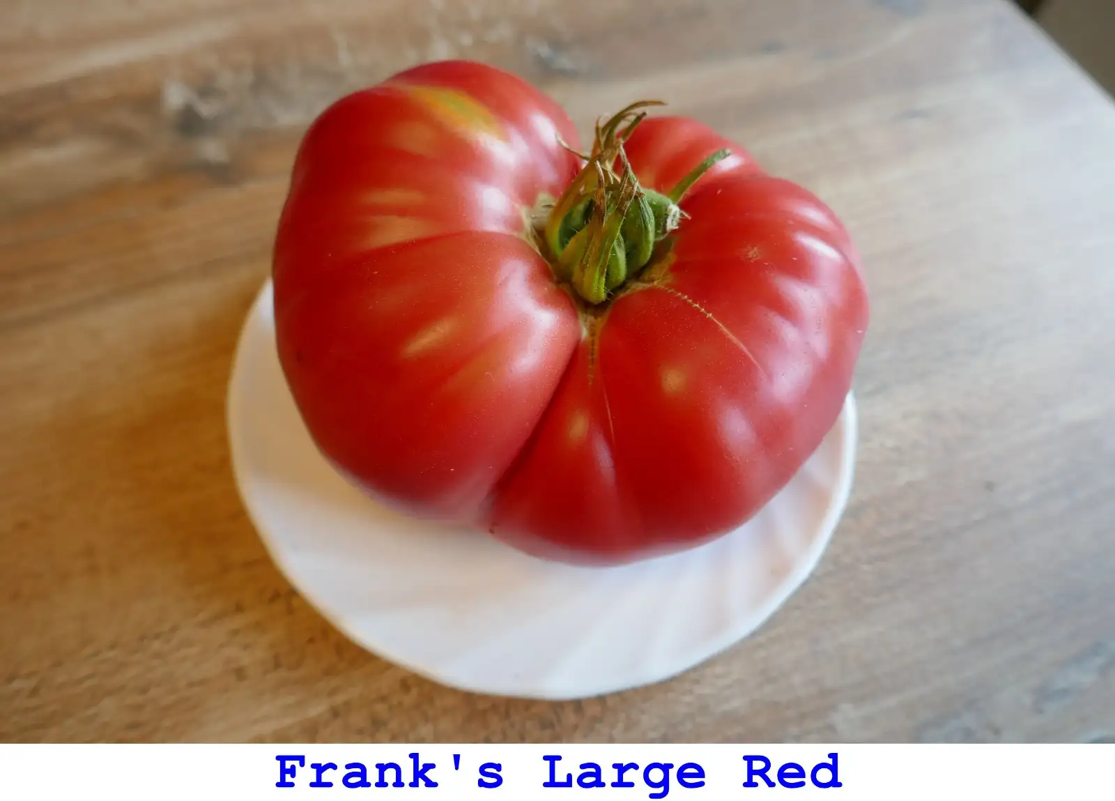 Tomaten: Frank’s Large Red