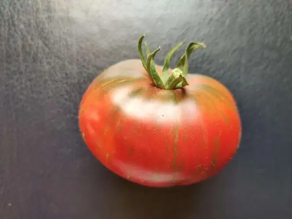 Tomaten: Fred’s Tie Dye