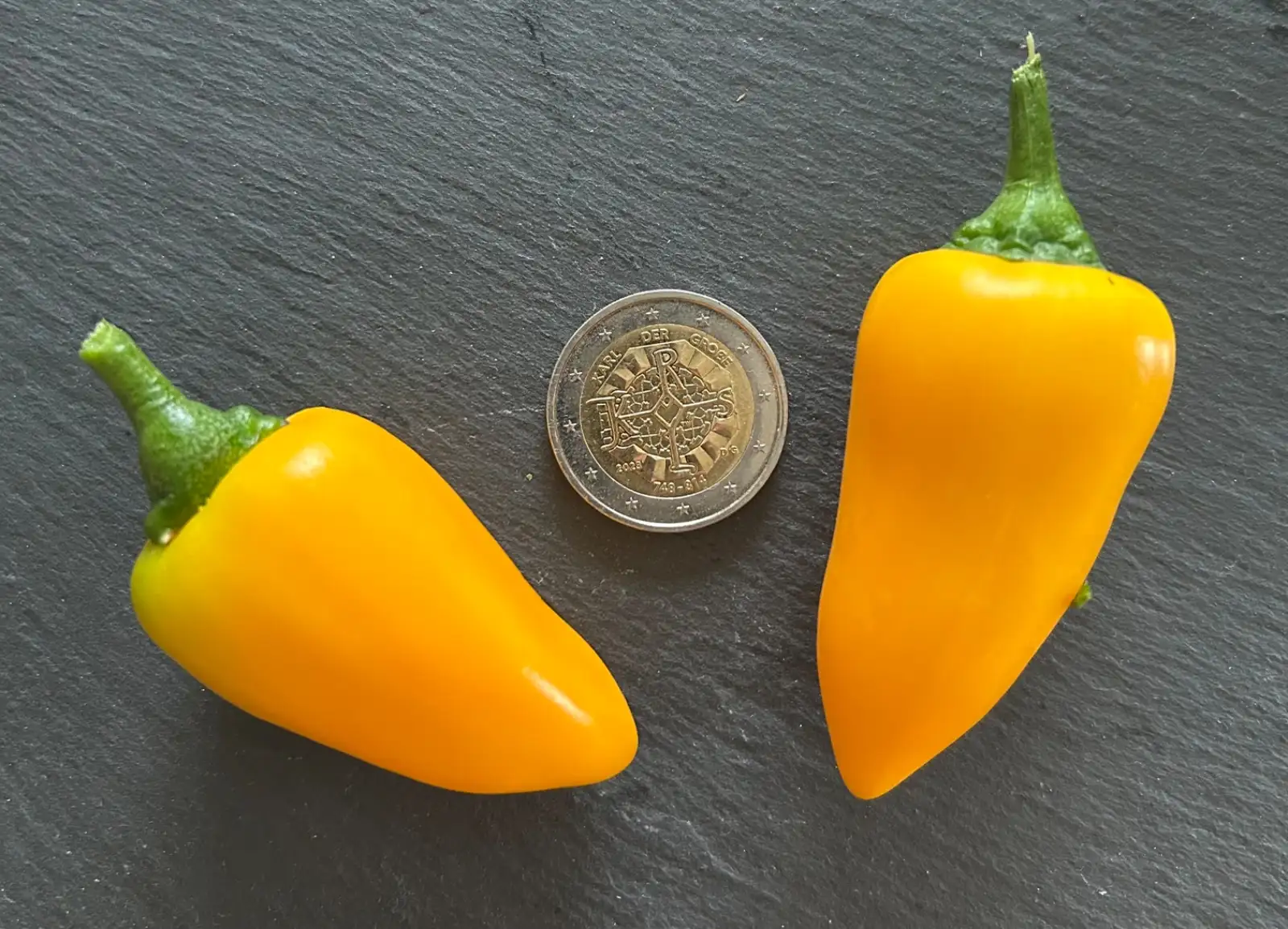 Chili / Paprika: Fresno Orange