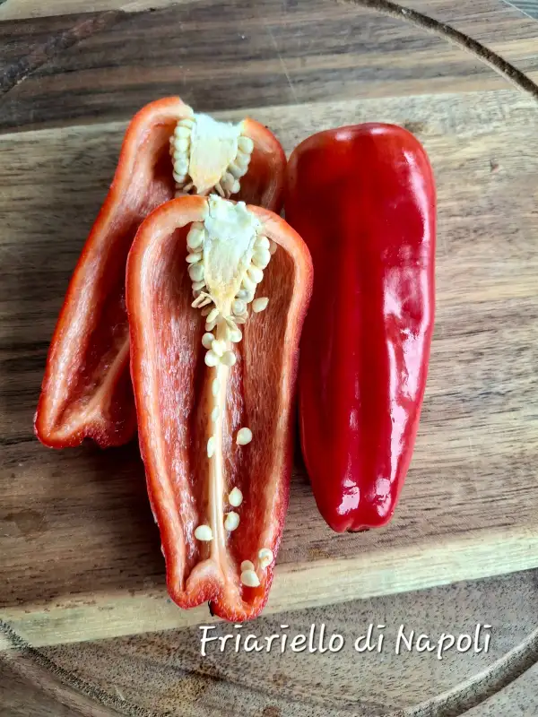 Chili / Paprika: Friariello di Napoli