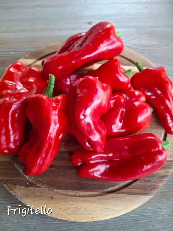 Chili / Paprika: Friggitello