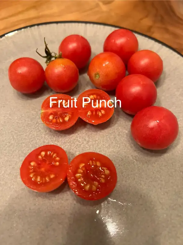 Tomaten: Fruit Punch