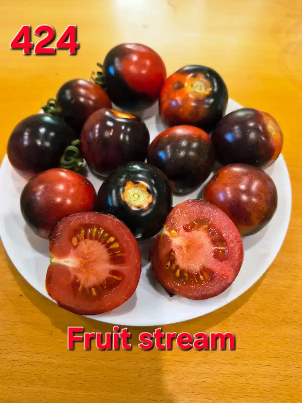 Tomaten: Fruit stream