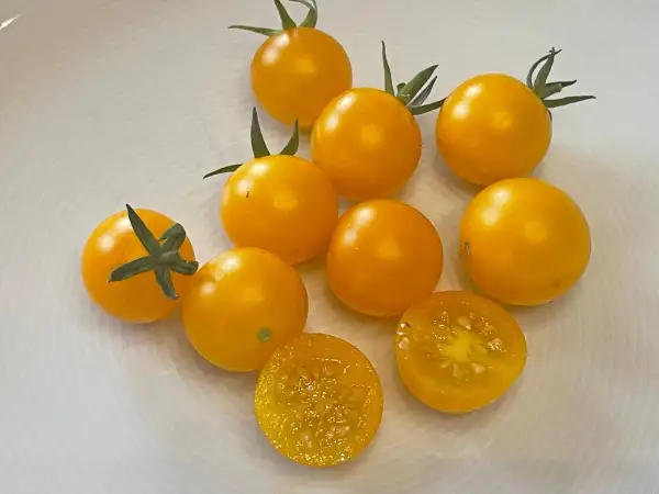 Tomaten: Fruity - Buschtomate
