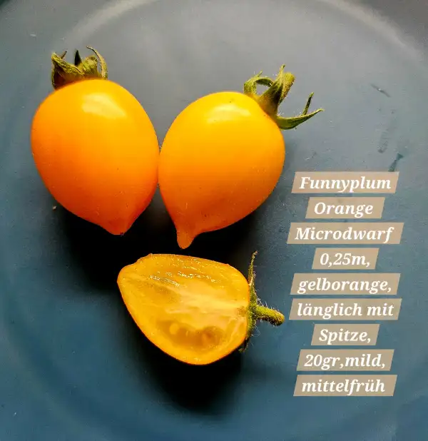 Tomaten: Funnyplum Orange