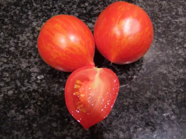 Tomaten: Fuzzy Wuzzy - Buschtomate