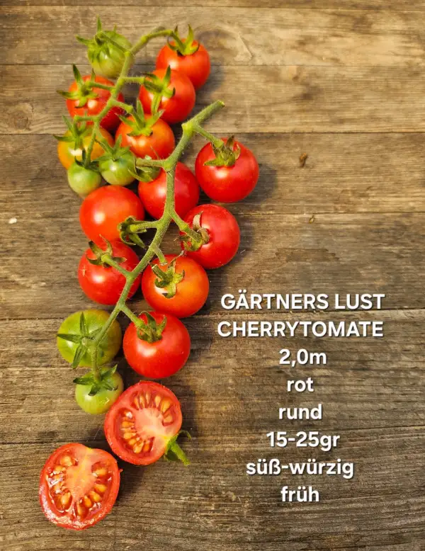 Tomaten: Gärtners Lust