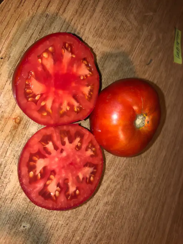 Tomaten: Gaúcho