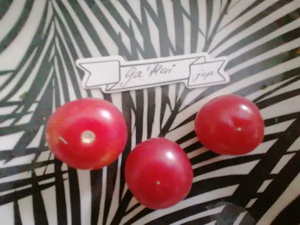 Tomaten: Ga