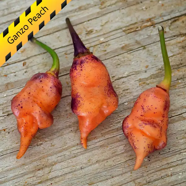 Chili: Ganzo Peach