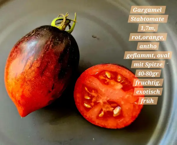 Tomaten: Gargamel