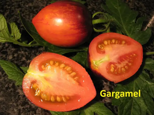 Tomaten: Gargamel