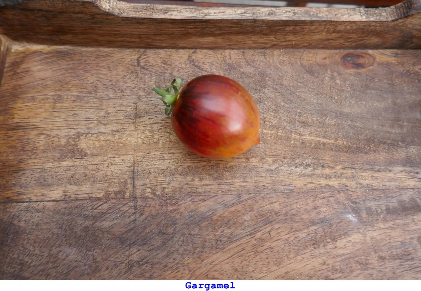 Tomaten: Gargamel