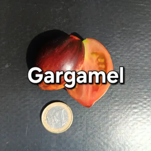 Tomaten: Gargamel