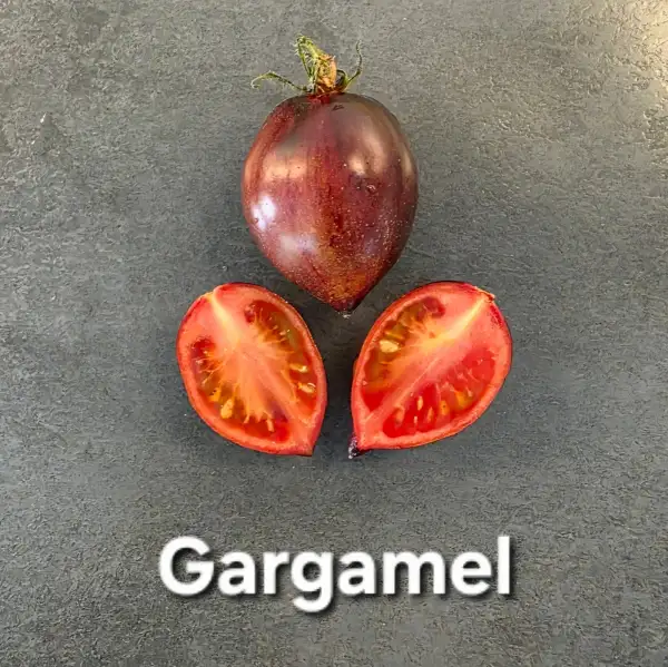 Tomaten: Gargamel