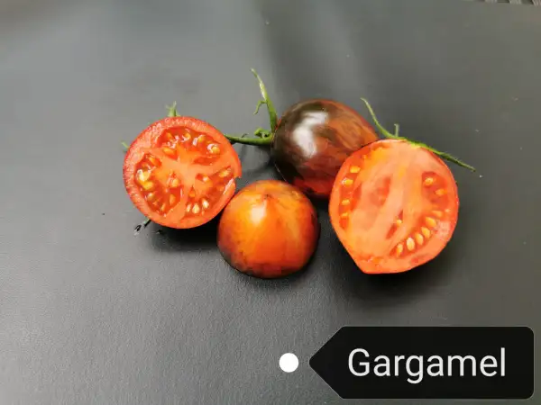Tomaten: Gargamel