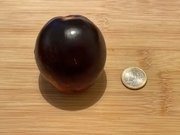 Tomaten: Gargamel