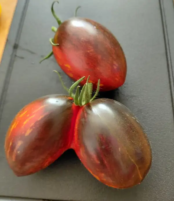 Tomaten: Gargamel
