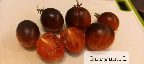 Tomaten: Gargamel