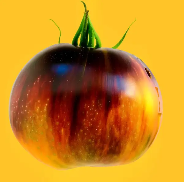 Tomaten: Gargamel
