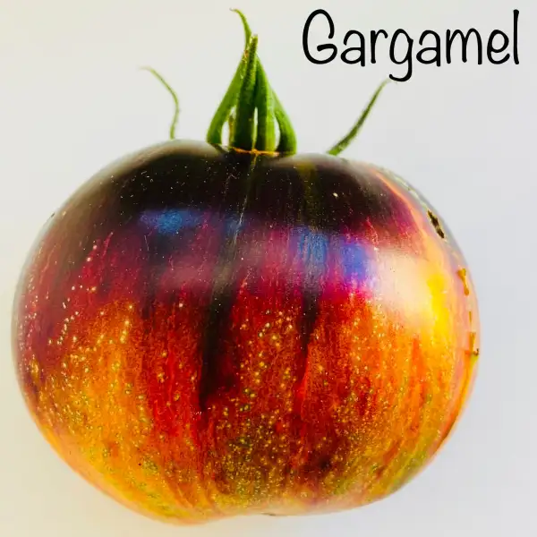 Tomaten: Gargamel