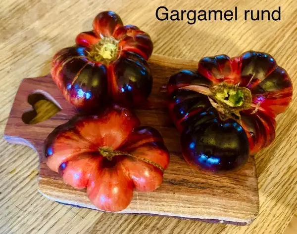 Tomaten: Gargamel rund