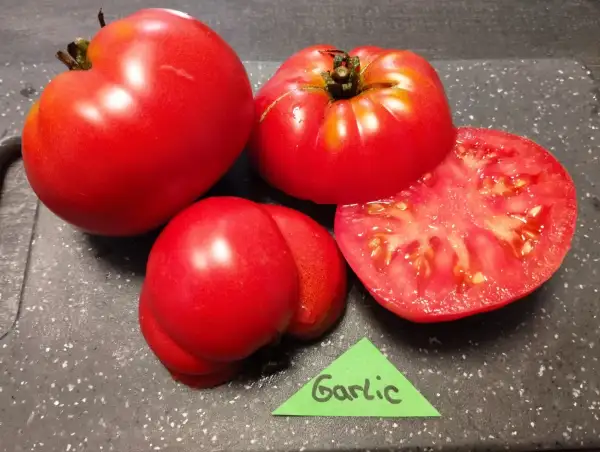 Tomaten: Garlic
