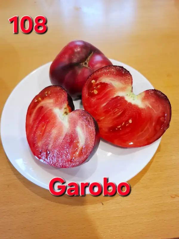 Tomaten: Garobo