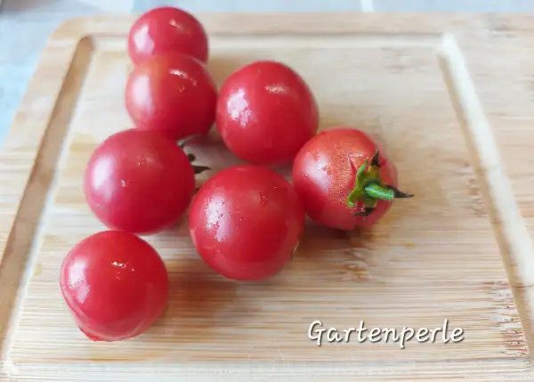 Tomaten: Gartenperle