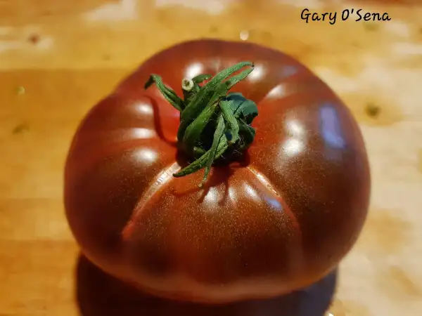 Tomaten: Gary O´Sena