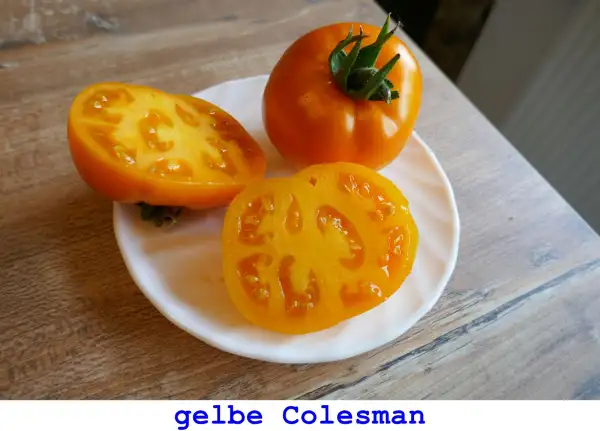 Tomaten: Gelbe Colesman