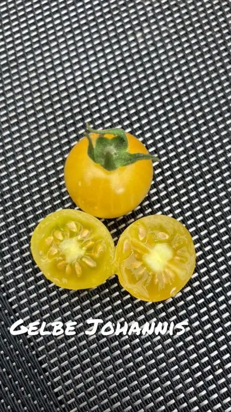 Tomaten: Gelbe Johannis