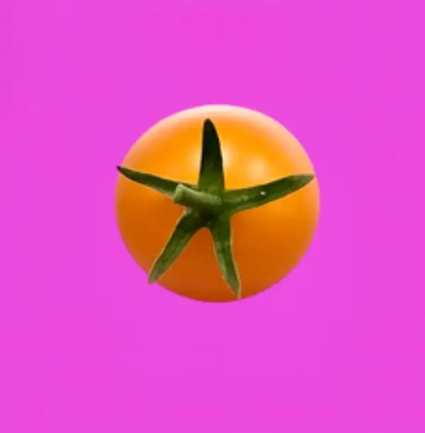 Tomaten: Gelbe Johannisbeere