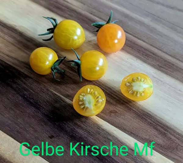 Tomaten: Gelbe Kirsche