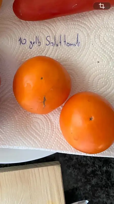 Tomaten: Gelbe Salattomate
