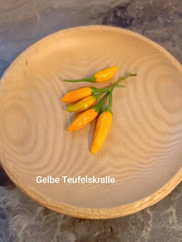 Chili / Paprika: Gelbe Teufelskralle