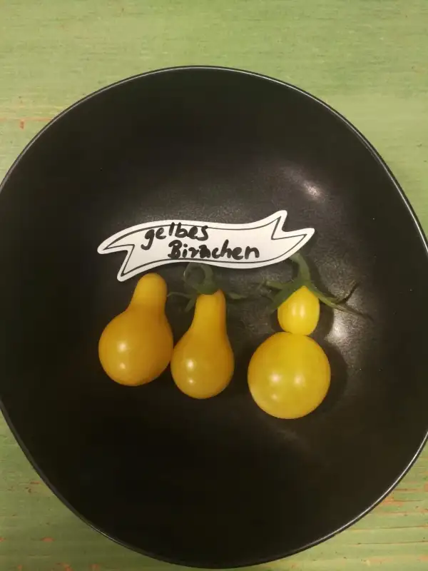 Tomaten: Gelbes Birnchen