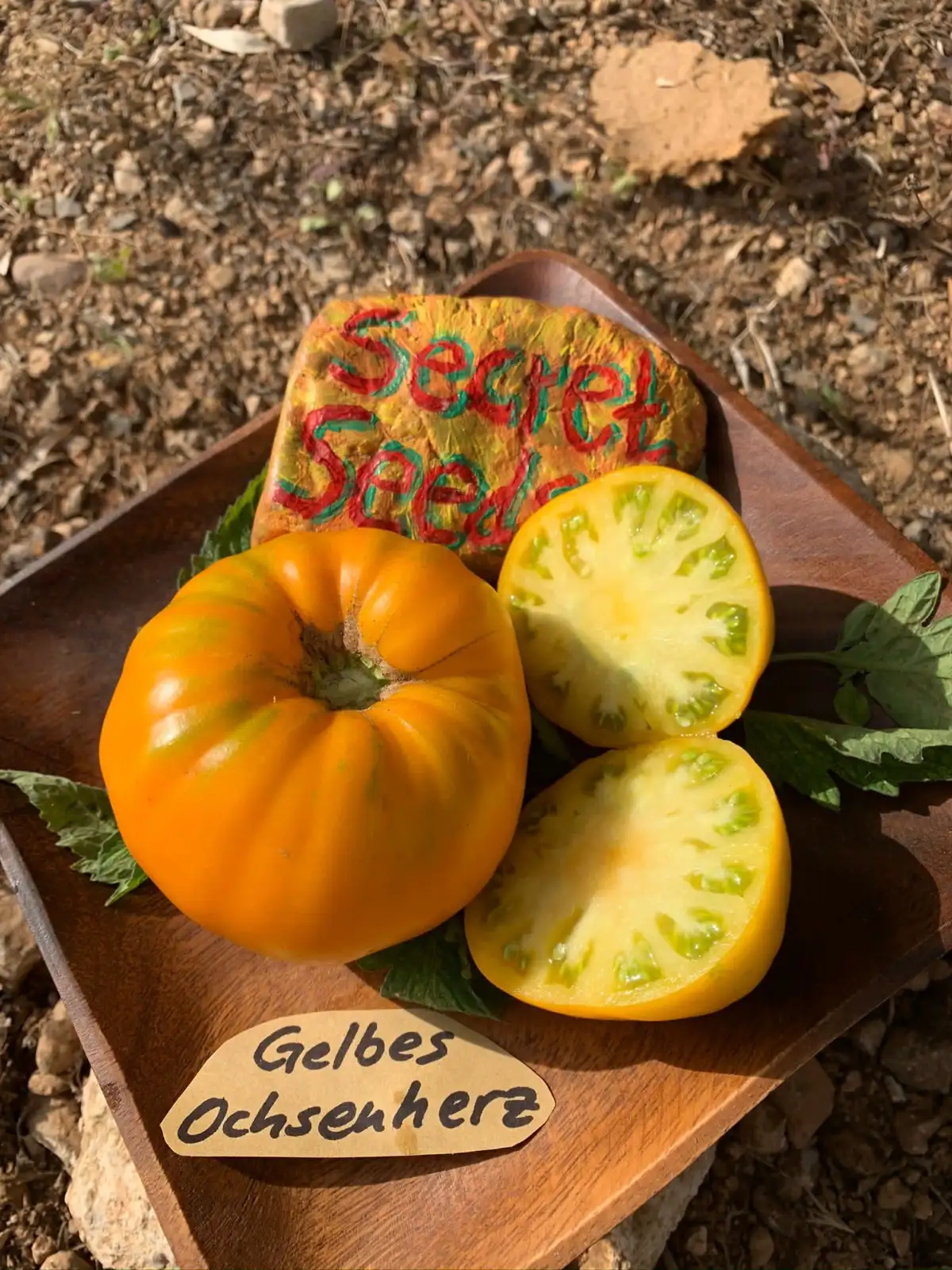 Tomaten: Gelbes Ochsenherz