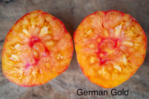 Tomaten: German Gold