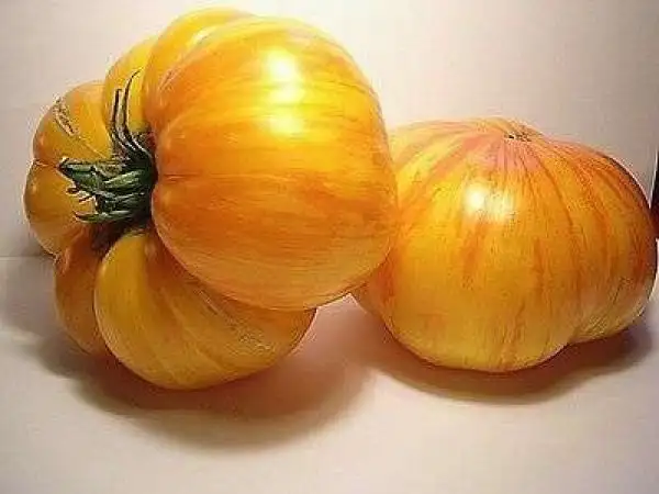 Tomaten: German Gold