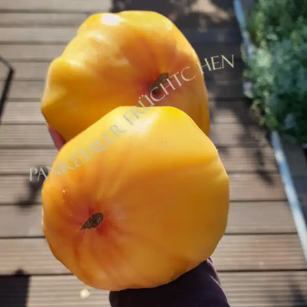 Tomaten: German Gold
