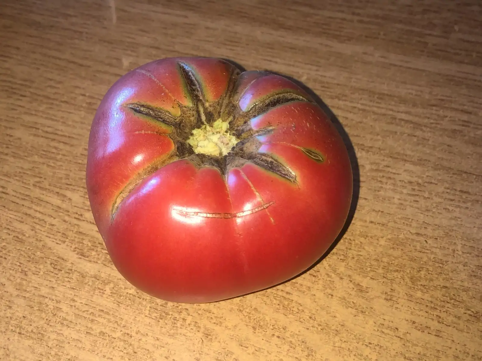 Tomaten: German Johnson