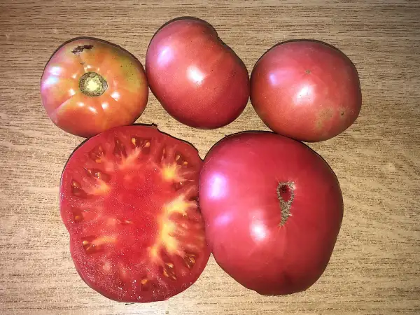 Tomaten: German Johnson Pink