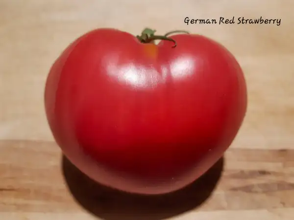 Tomaten: German Red Strawberry