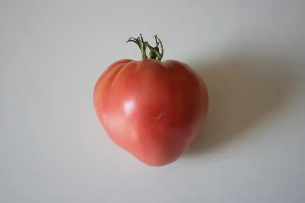 Tomaten: German Red Strawberry