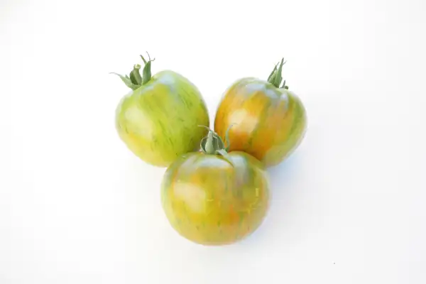 Tomaten: Gestreifter Bulle