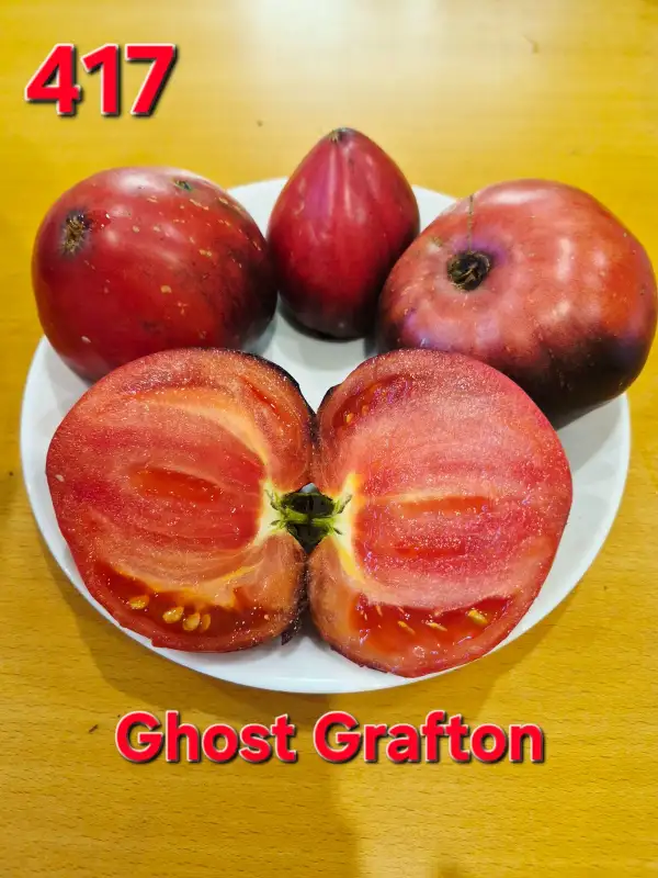 Tomaten: Ghost Grafton